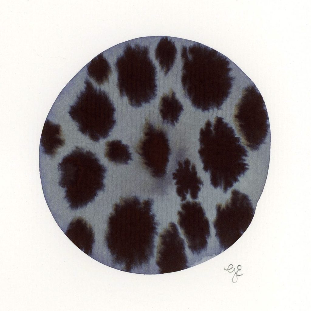 Spots of ink on circle